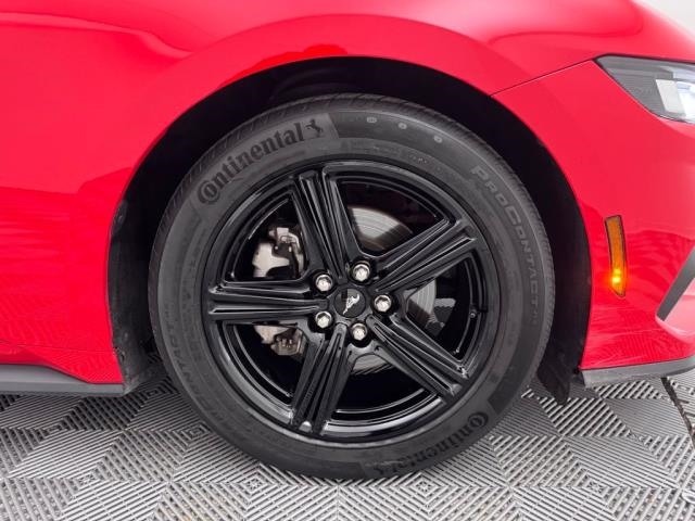 2024 Ford Mustang EcoBoost RWD
