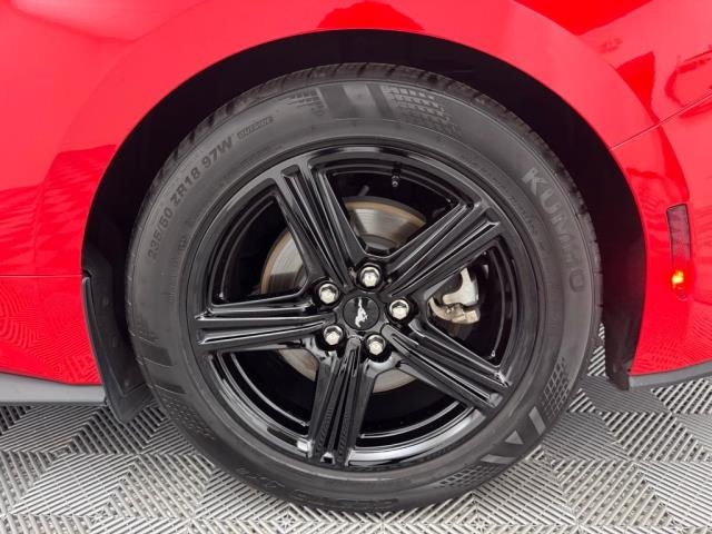 2024 Ford Mustang EcoBoost RWD