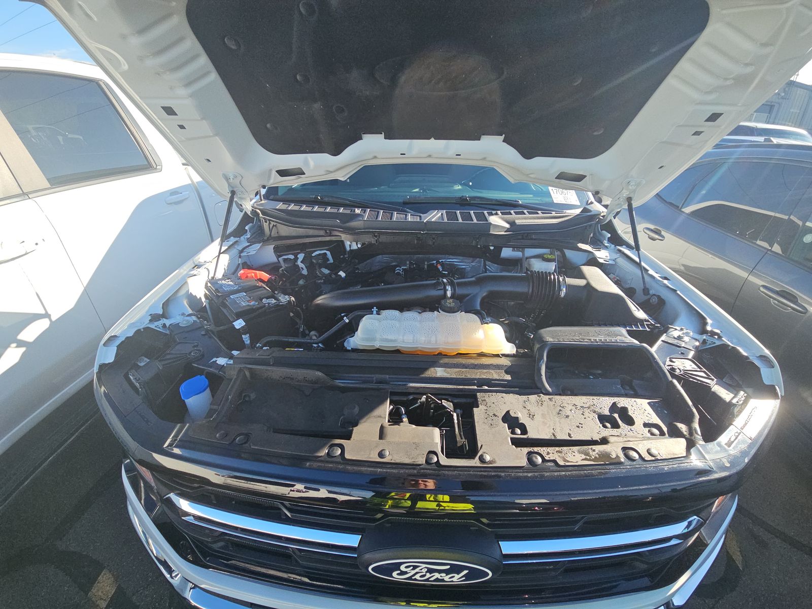 2024 Ford F-150 XLT AWD