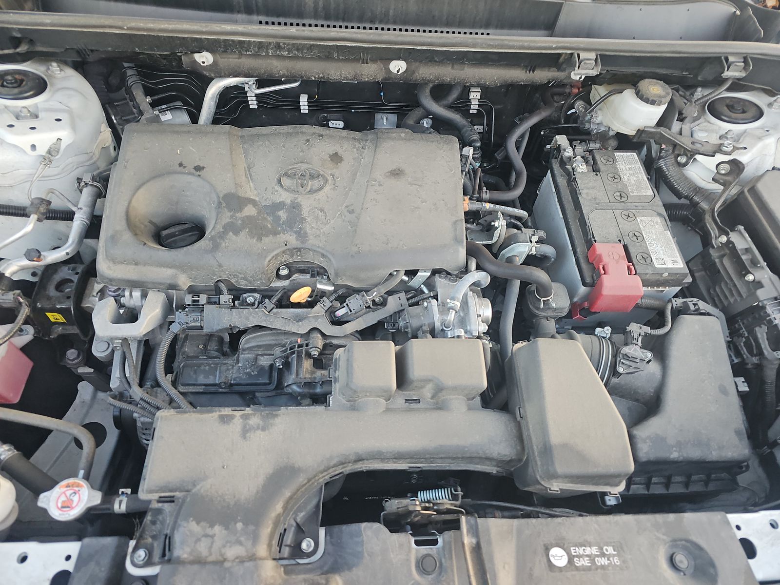 2024 Toyota RAV4 LE AWD