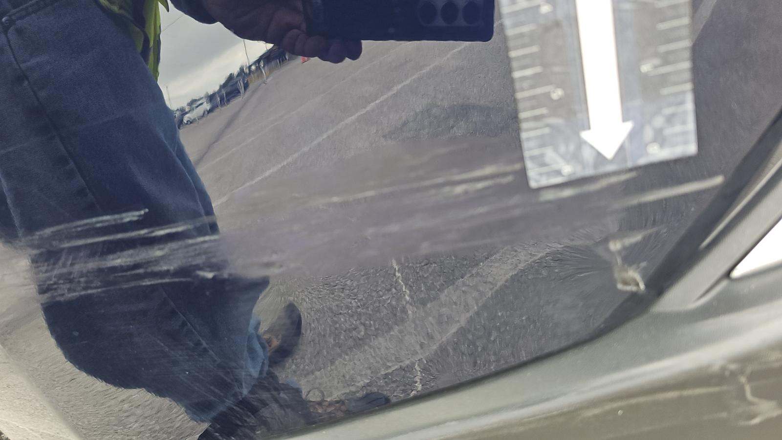 2024 Toyota Venza Limited AWD