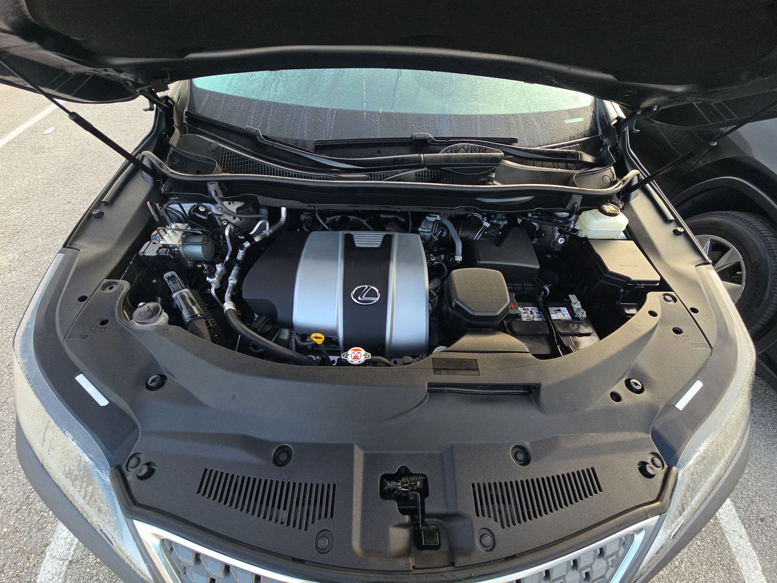 2022 Lexus RX RX 350 FWD