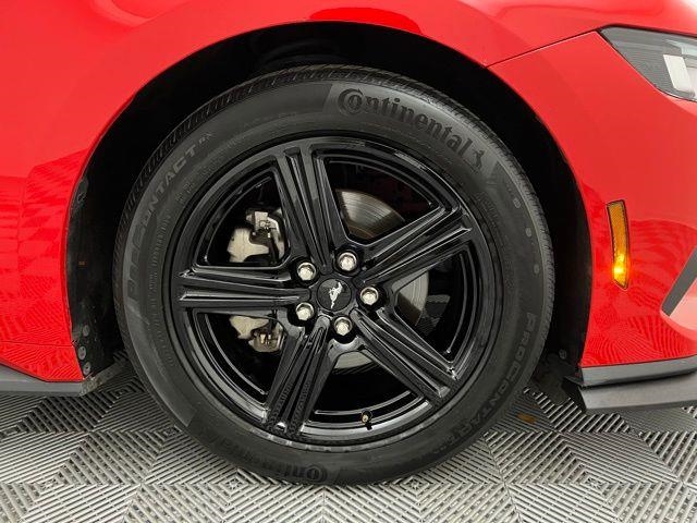 2024 Ford Mustang EcoBoost RWD