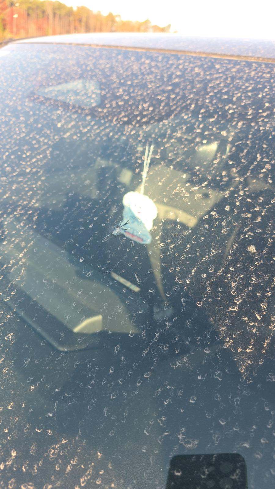 2024 Toyota Tacoma TRD Sport RWD