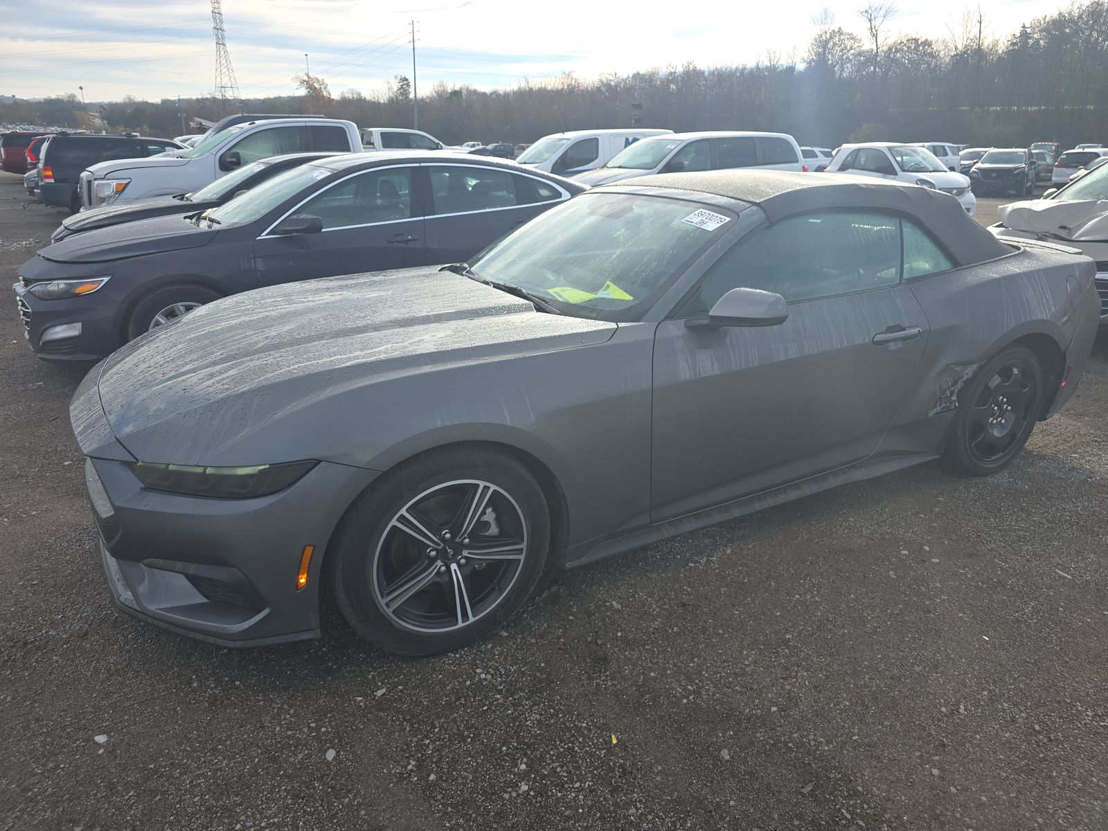 2025 Ford Mustang EcoBoost Premium RWD