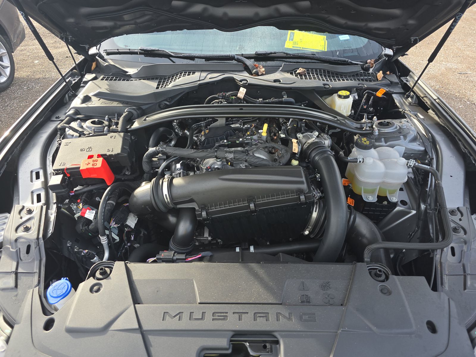 2025 Ford Mustang EcoBoost Premium RWD