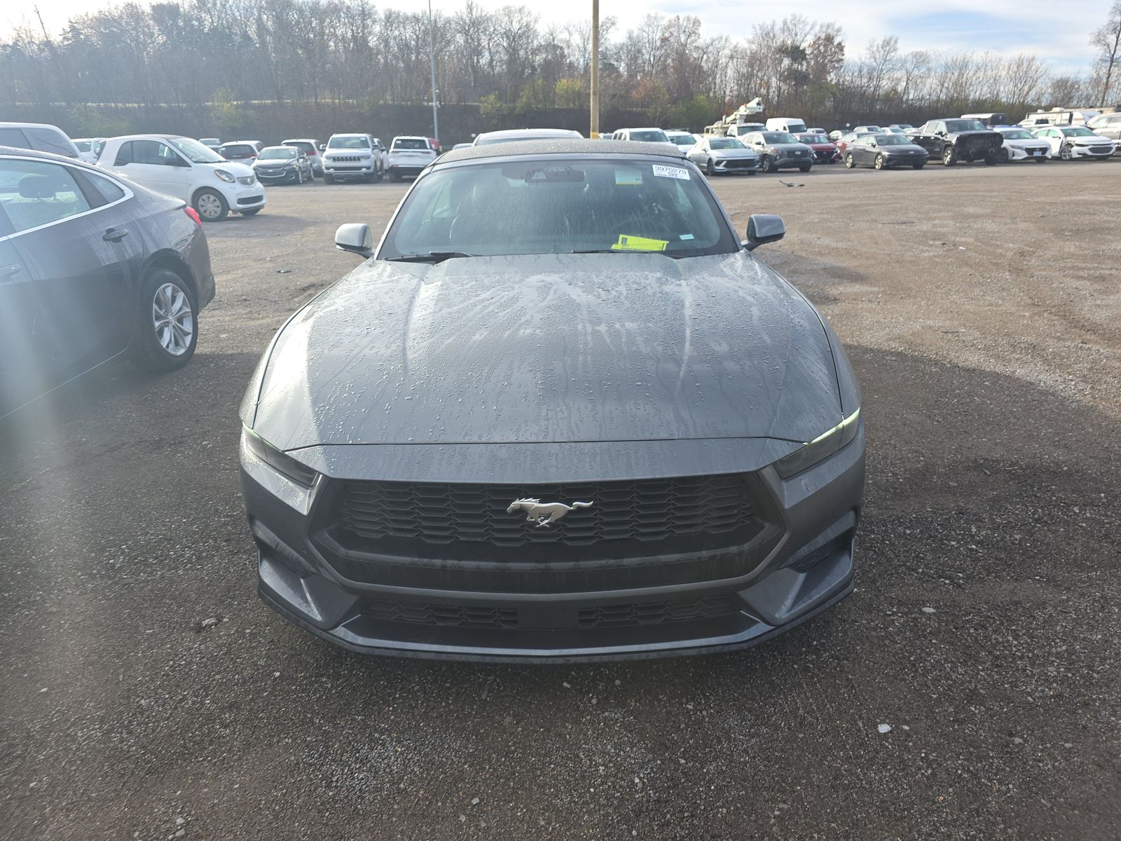 2025 Ford Mustang EcoBoost Premium RWD