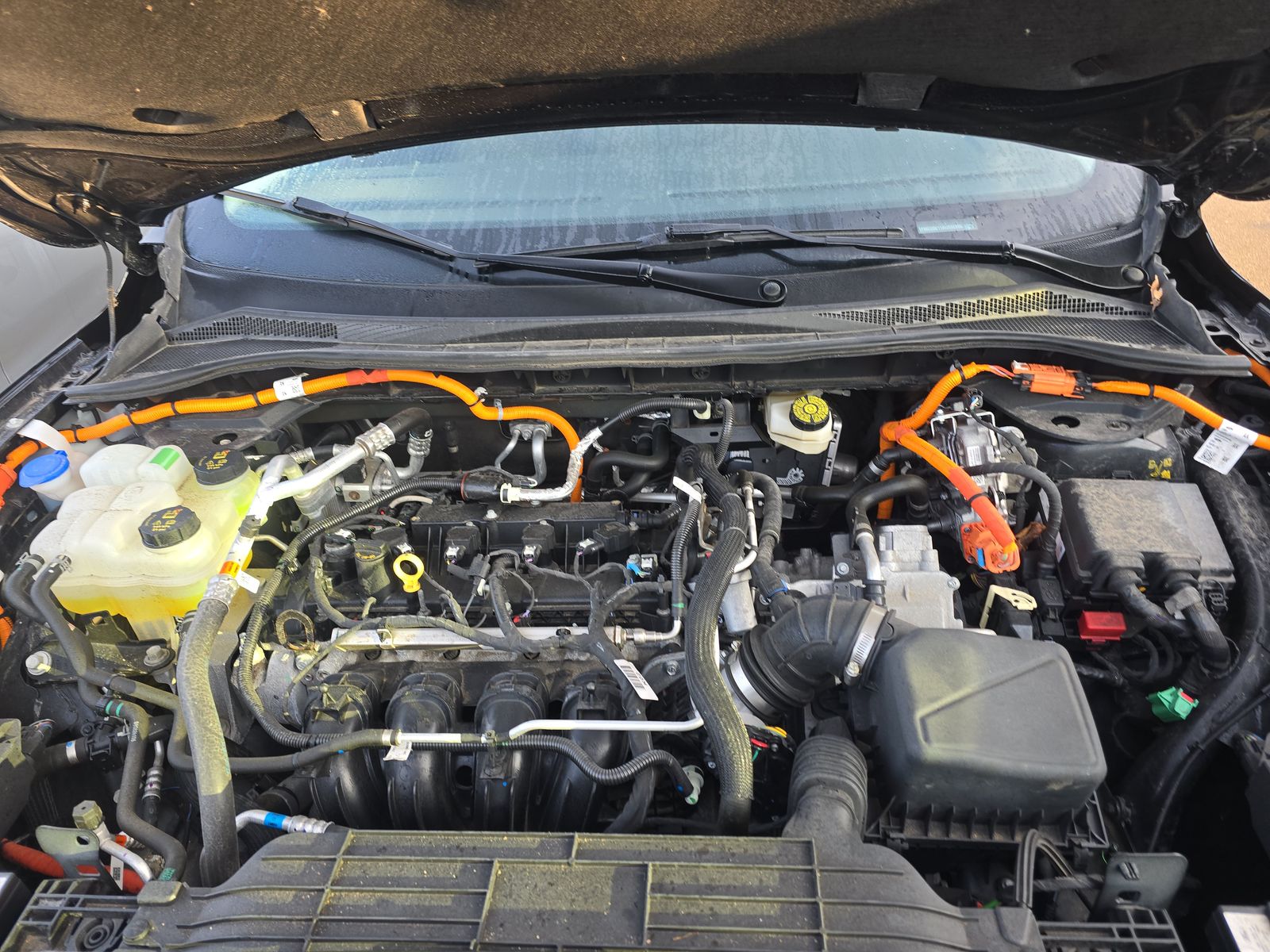 2024 Ford Escape Active SUV FWD