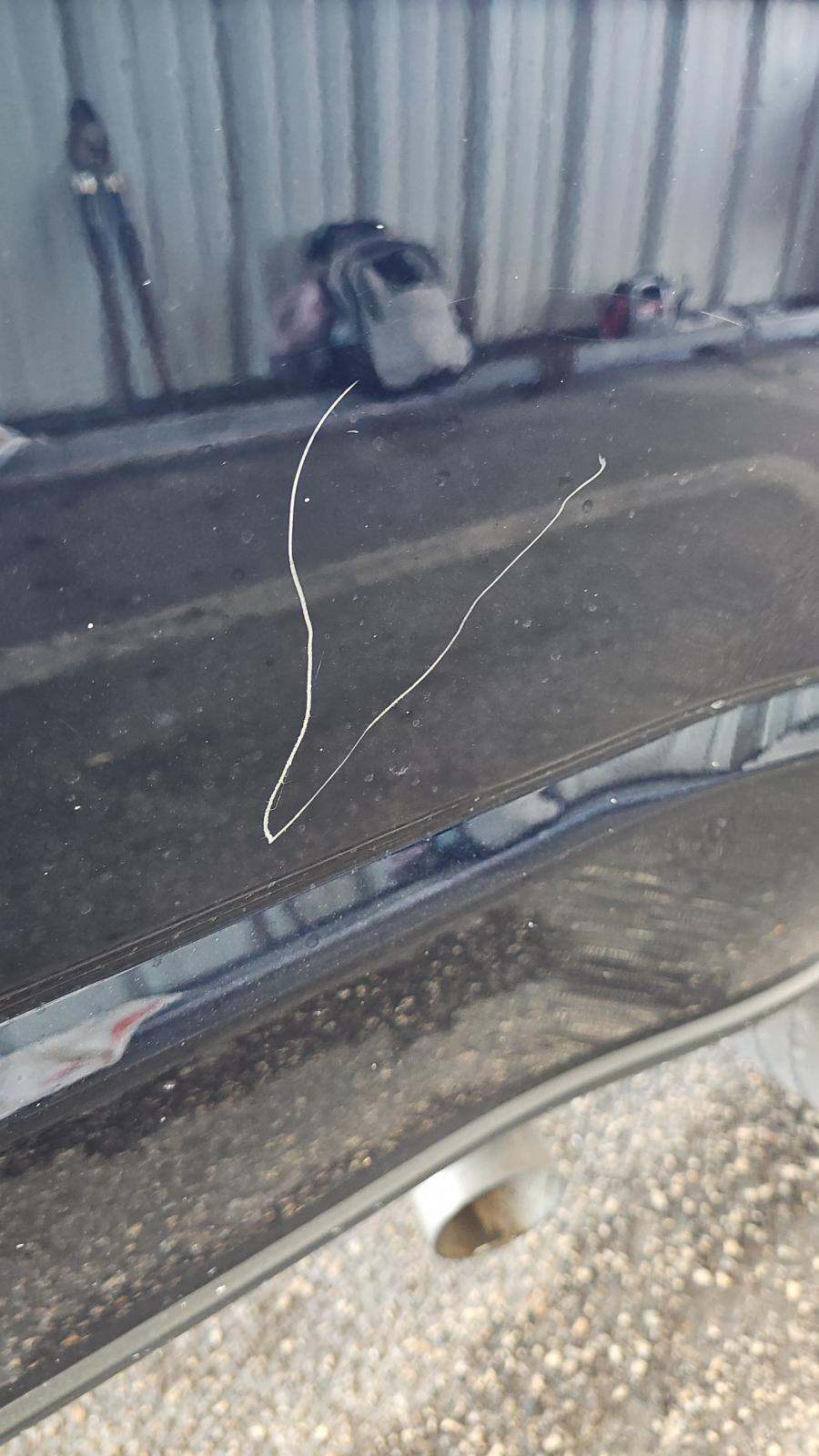 2022 Ford F-150 XL AWD