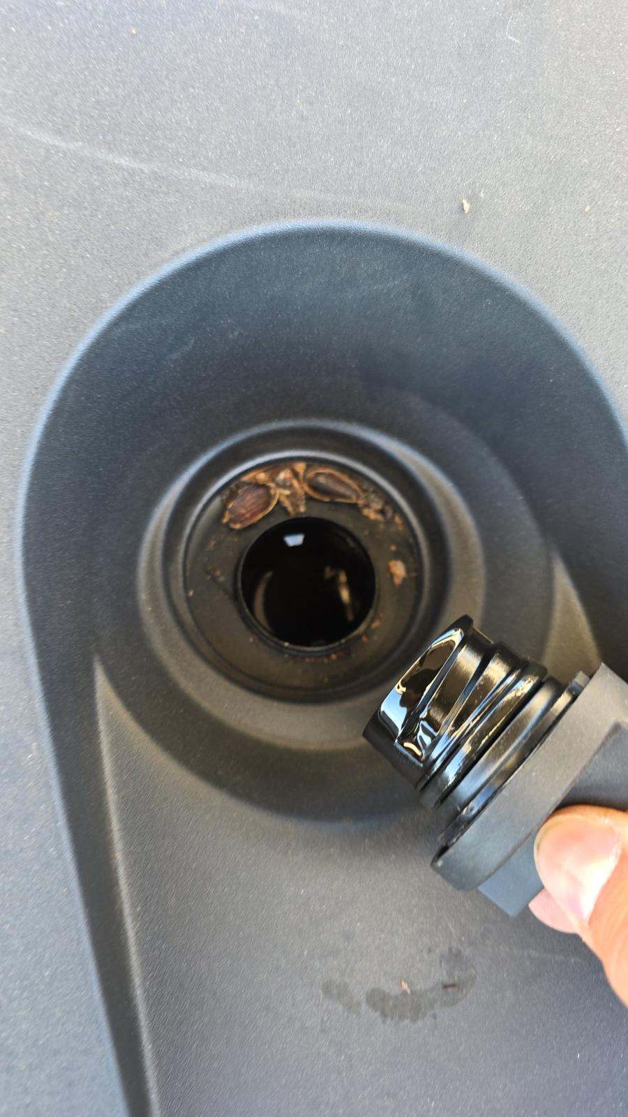 2023 Land Rover Range Rover SE AWD