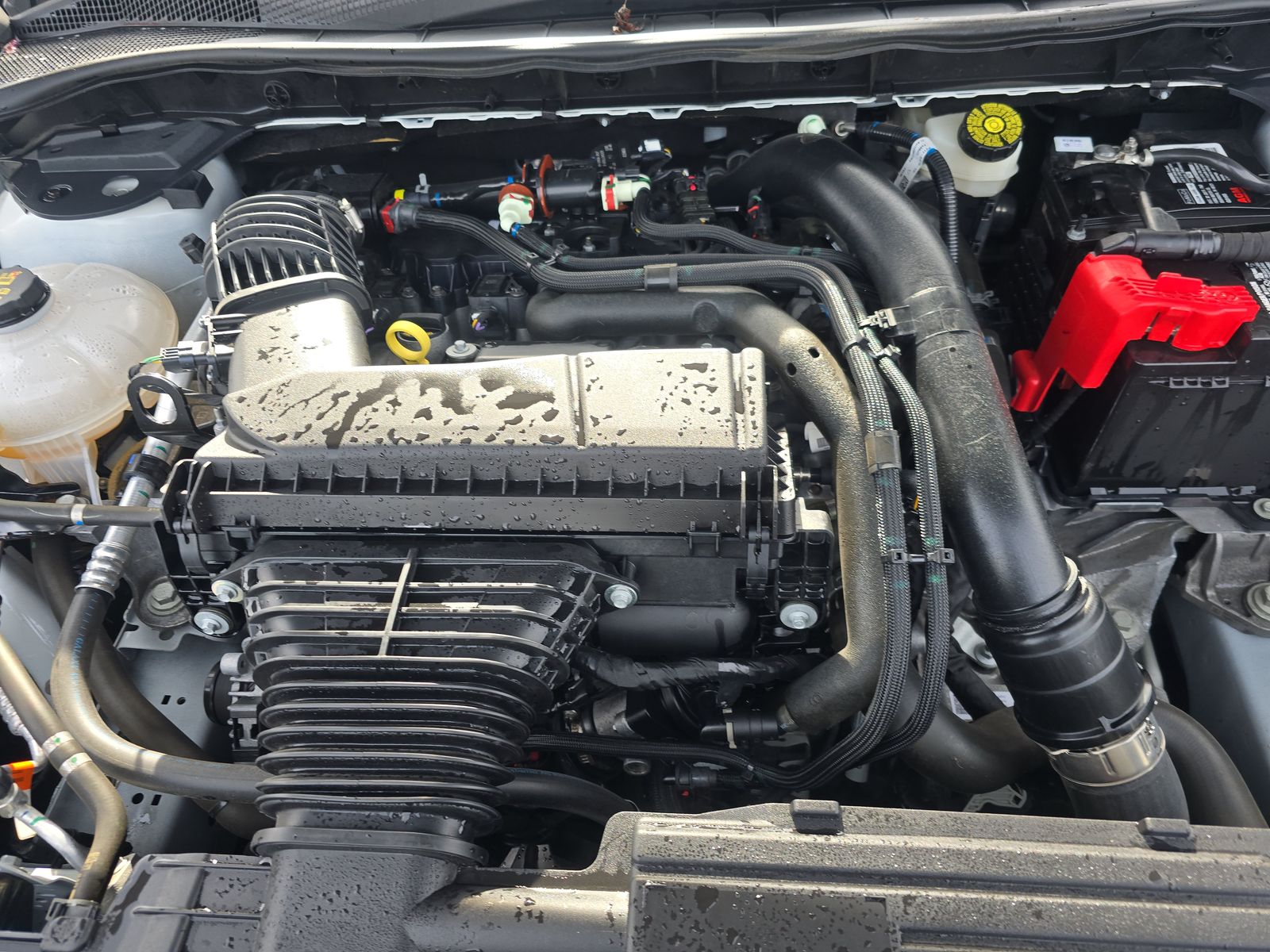 2023 Ford Escape Platinum AWD