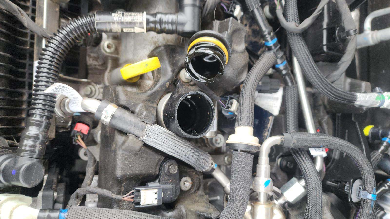 2022 Ford Escape SEL AWD