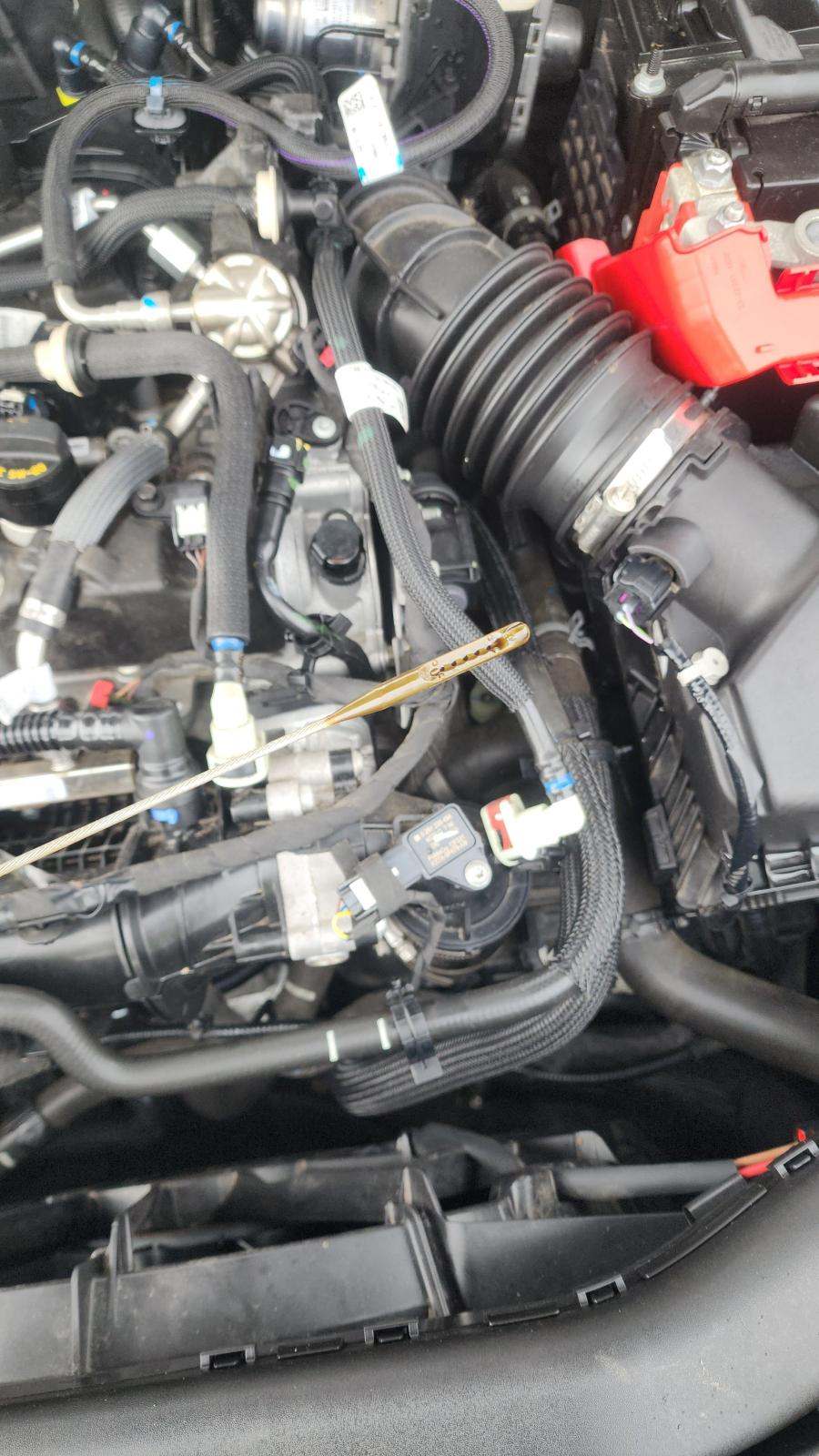 2022 Ford Escape SEL AWD