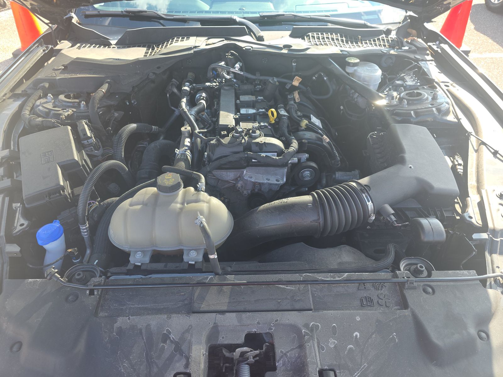 2023 Ford Mustang EcoBoost Premium RWD