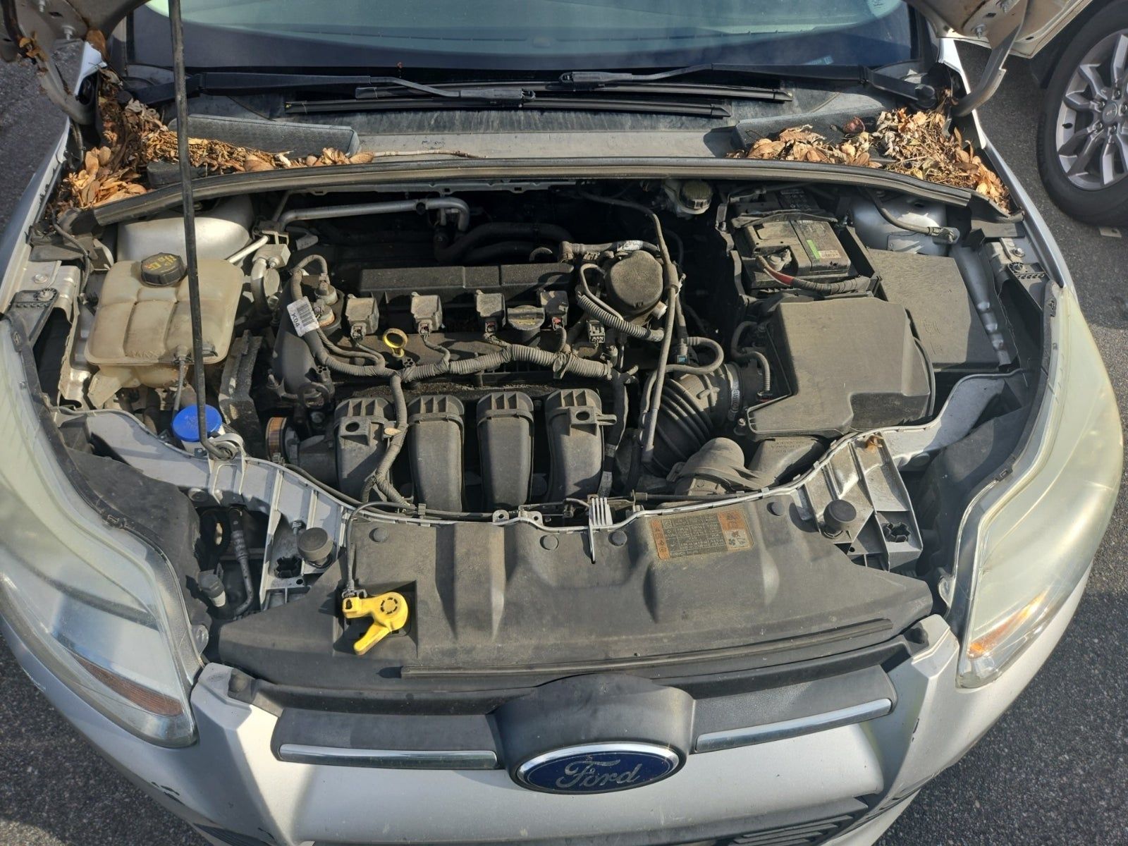 2014 Ford Focus SE FWD