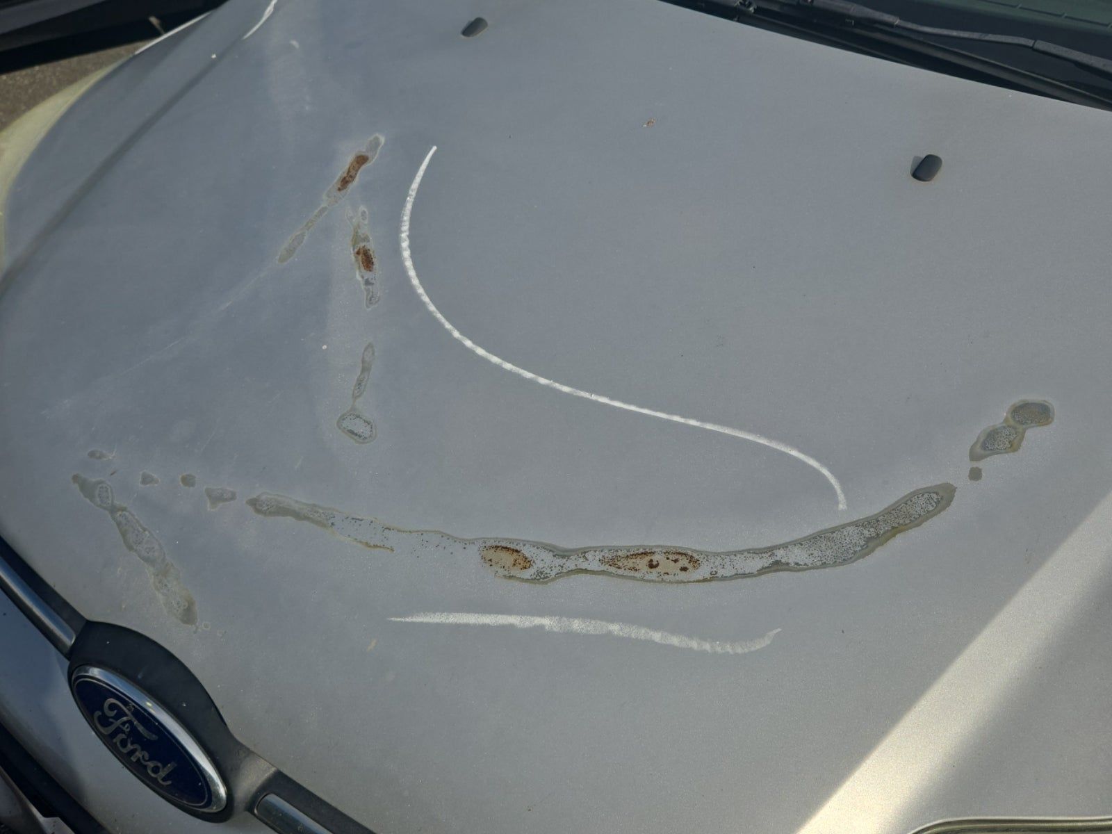 2014 Ford Focus SE FWD