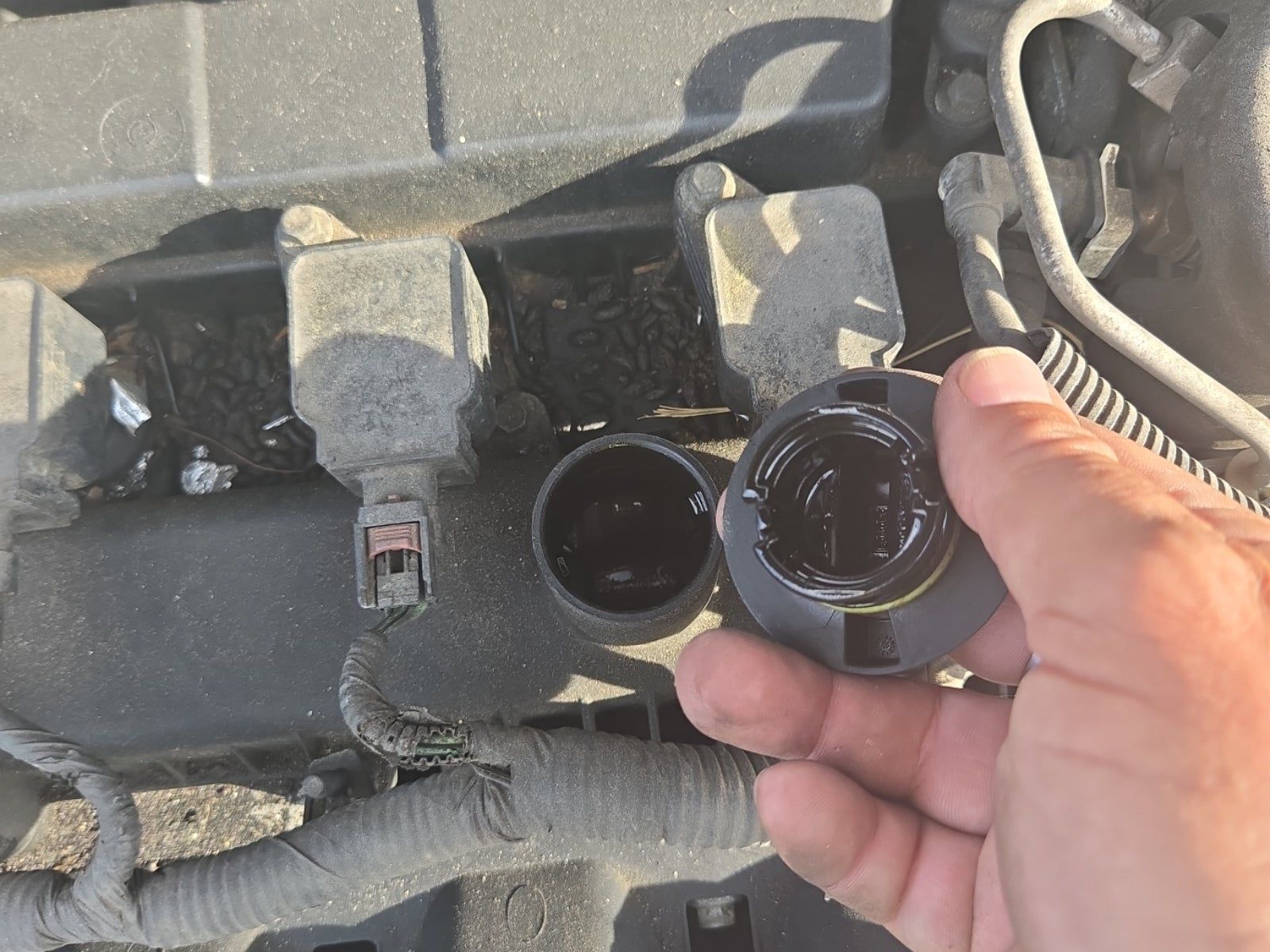 2014 Ford Focus SE FWD