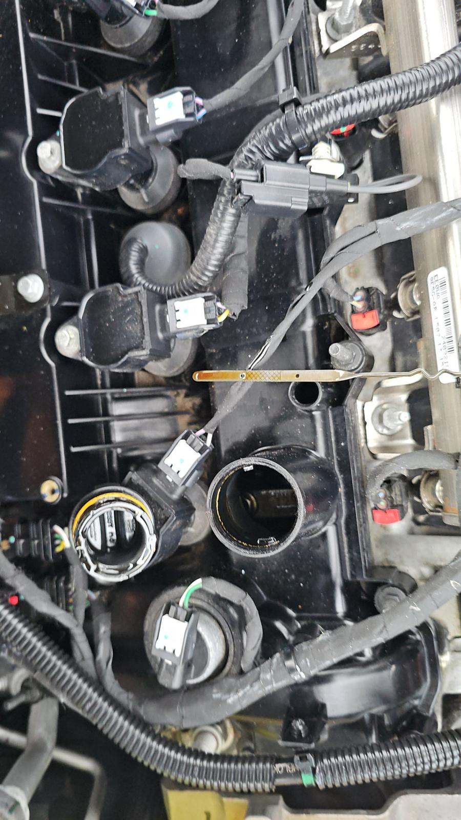 2025 Ford Escape Hybrid ST-Line Elite AWD