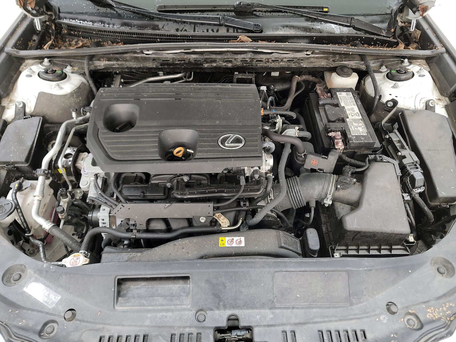 2022 Lexus ES ES 250 AWD