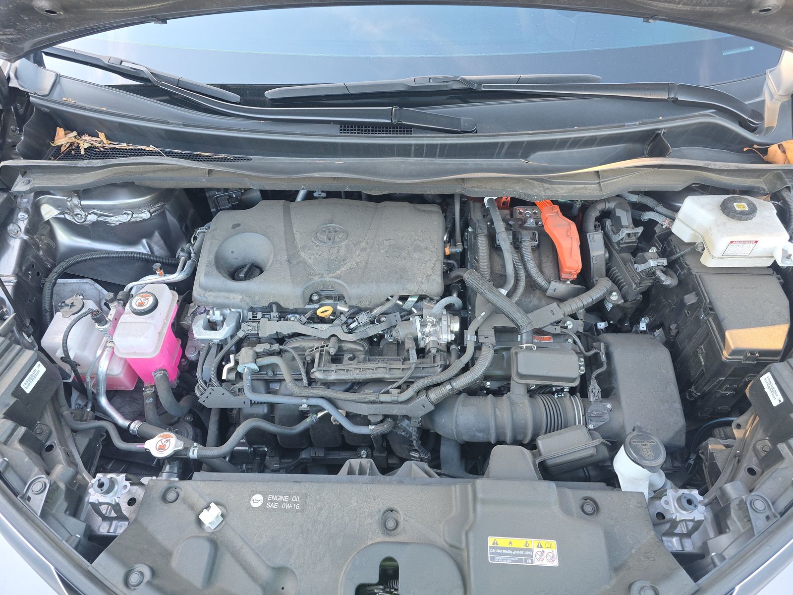 2023 Toyota Sienna Platinum AWD