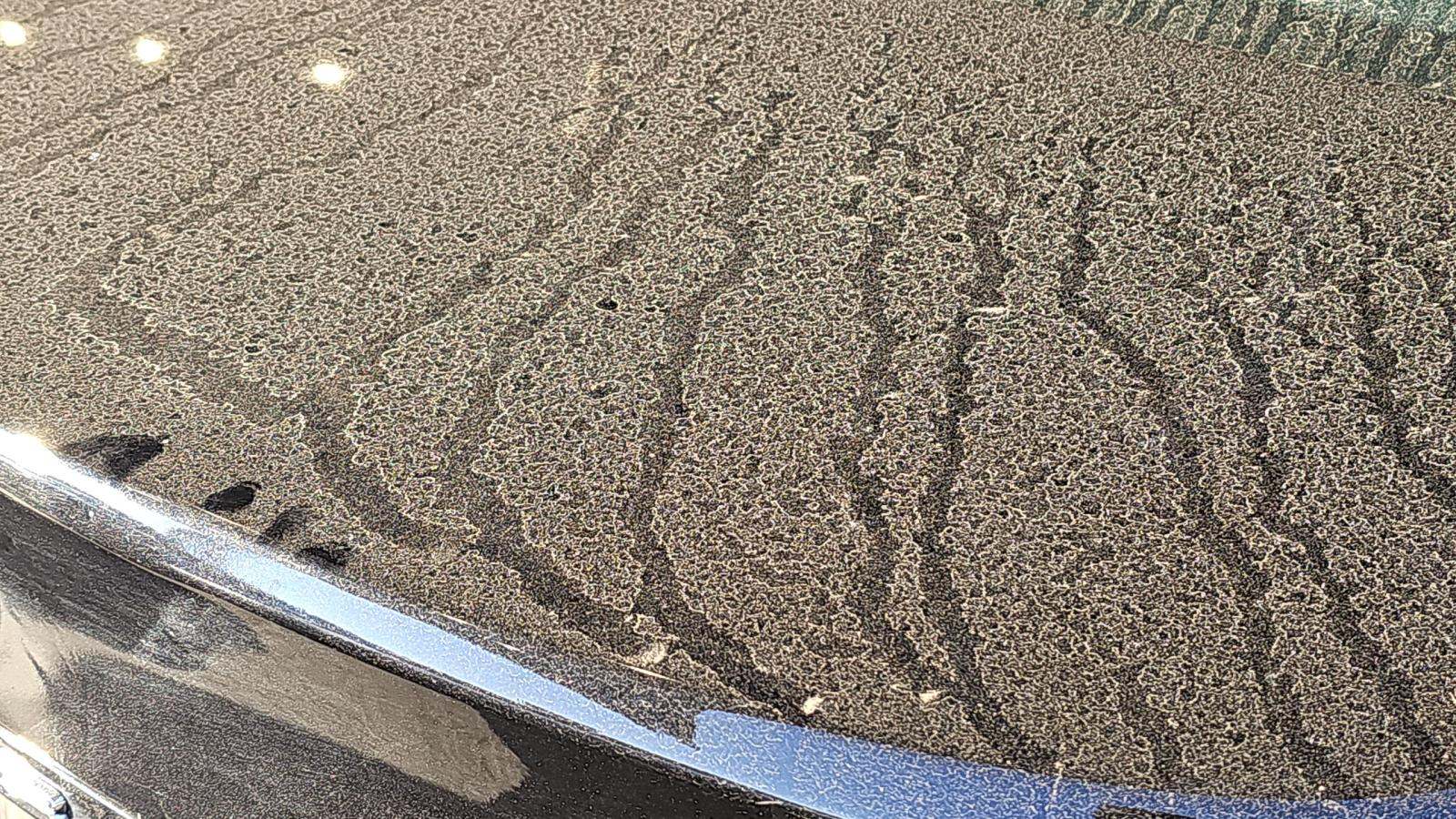 2024 Toyota Camry LE AWD