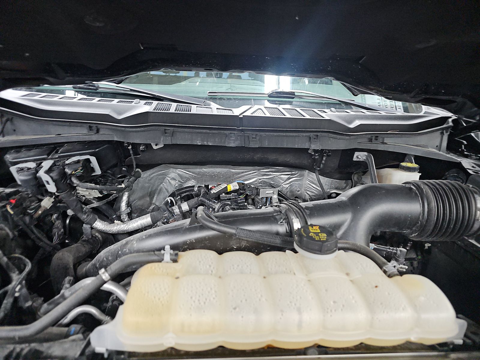 2024 Ford F-150 XLT AWD