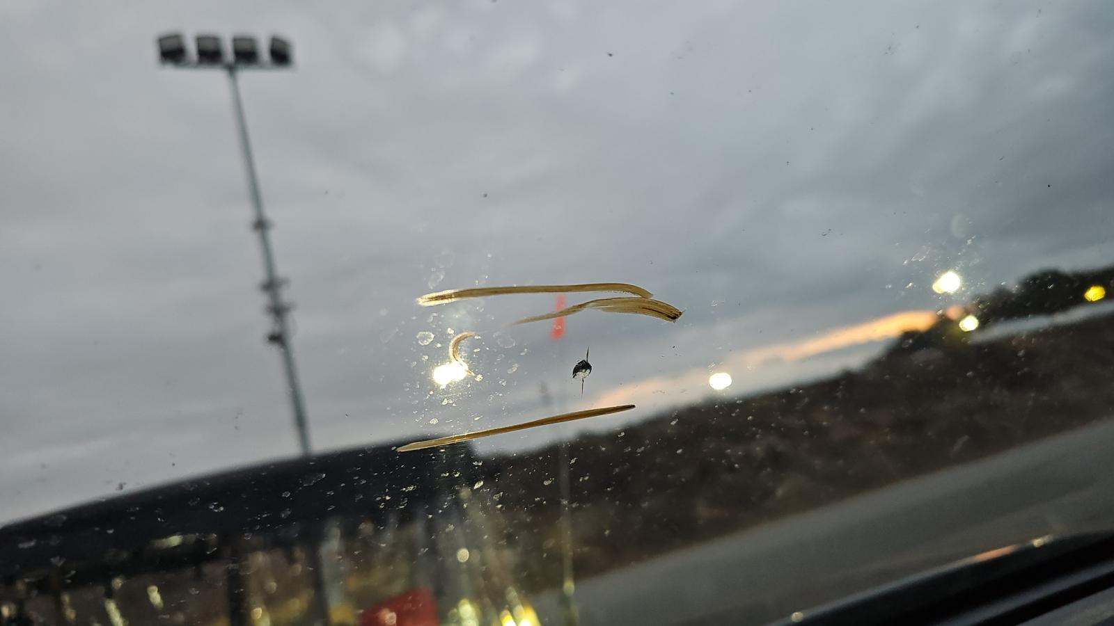 2024 Toyota Highlander LE FWD