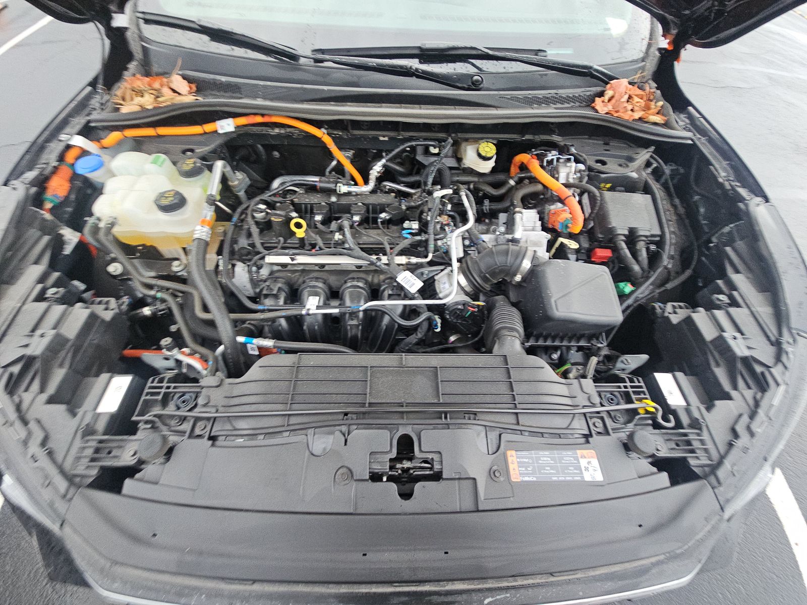 2025 Ford Escape Hybrid ST-Line Elite AWD