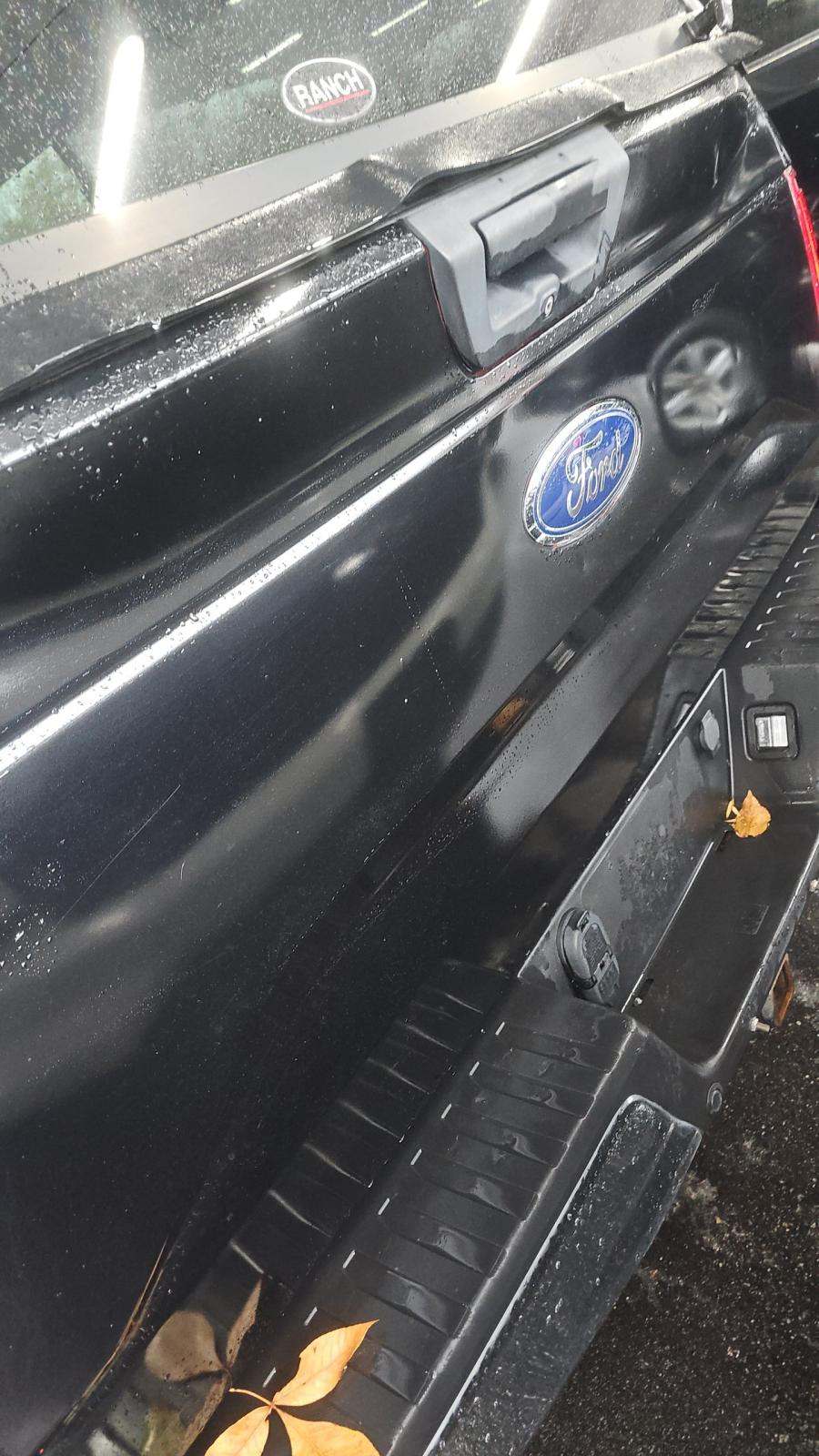 2019 Ford F-150 XLT RWD