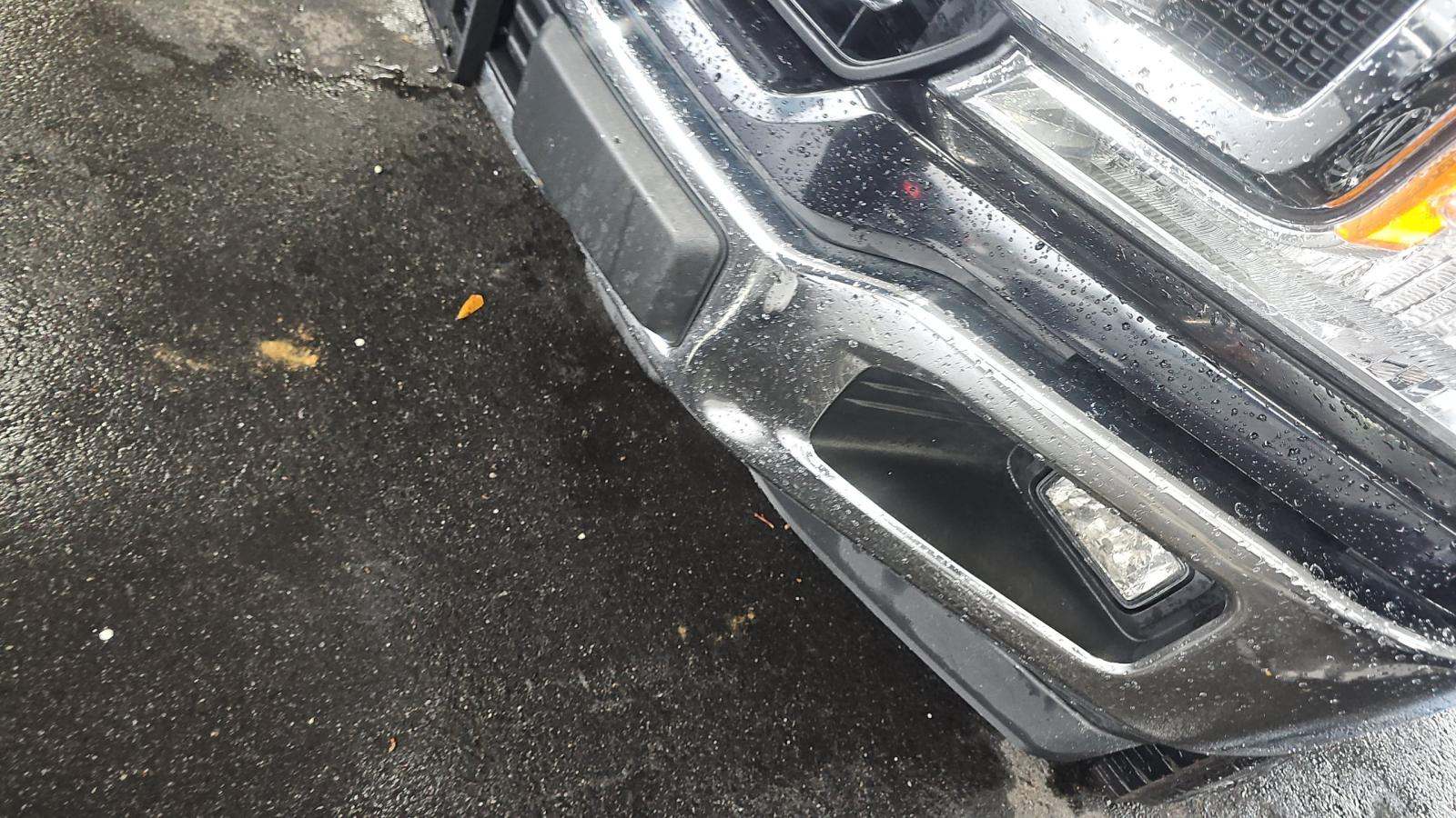 2019 Ford F-150 XLT RWD