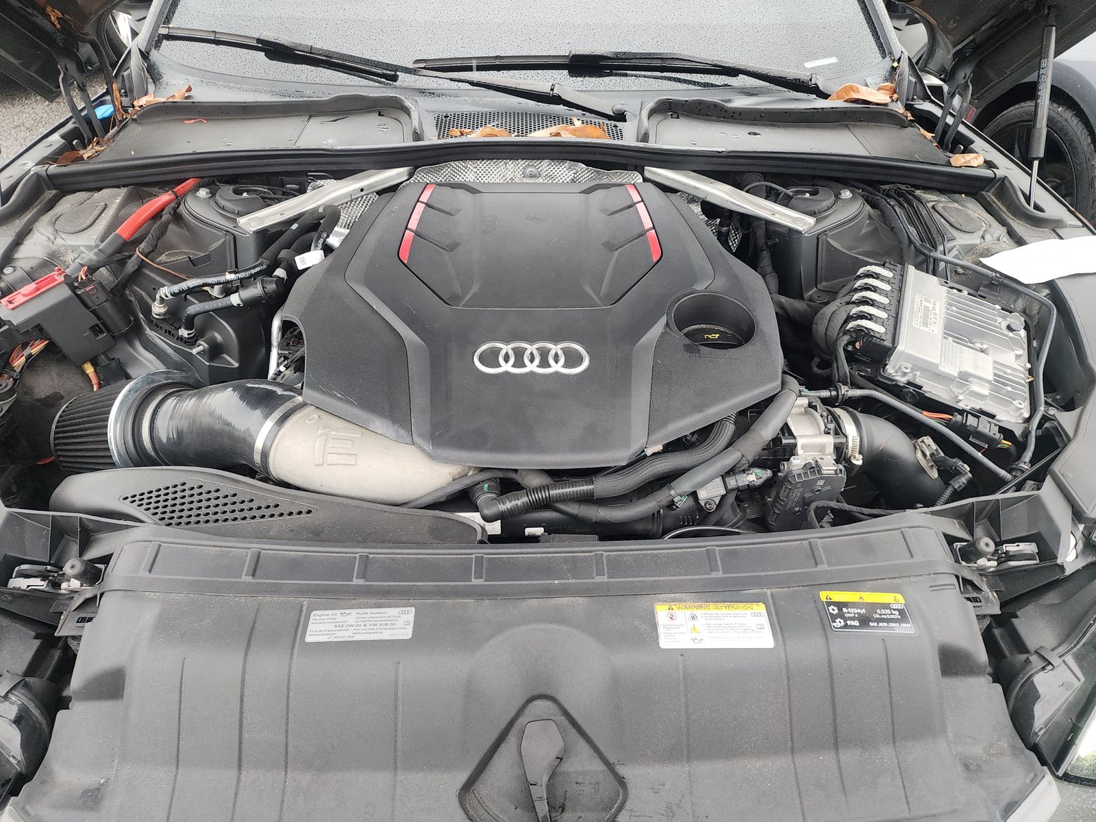 2024 Audi S5 Premium Plus AWD