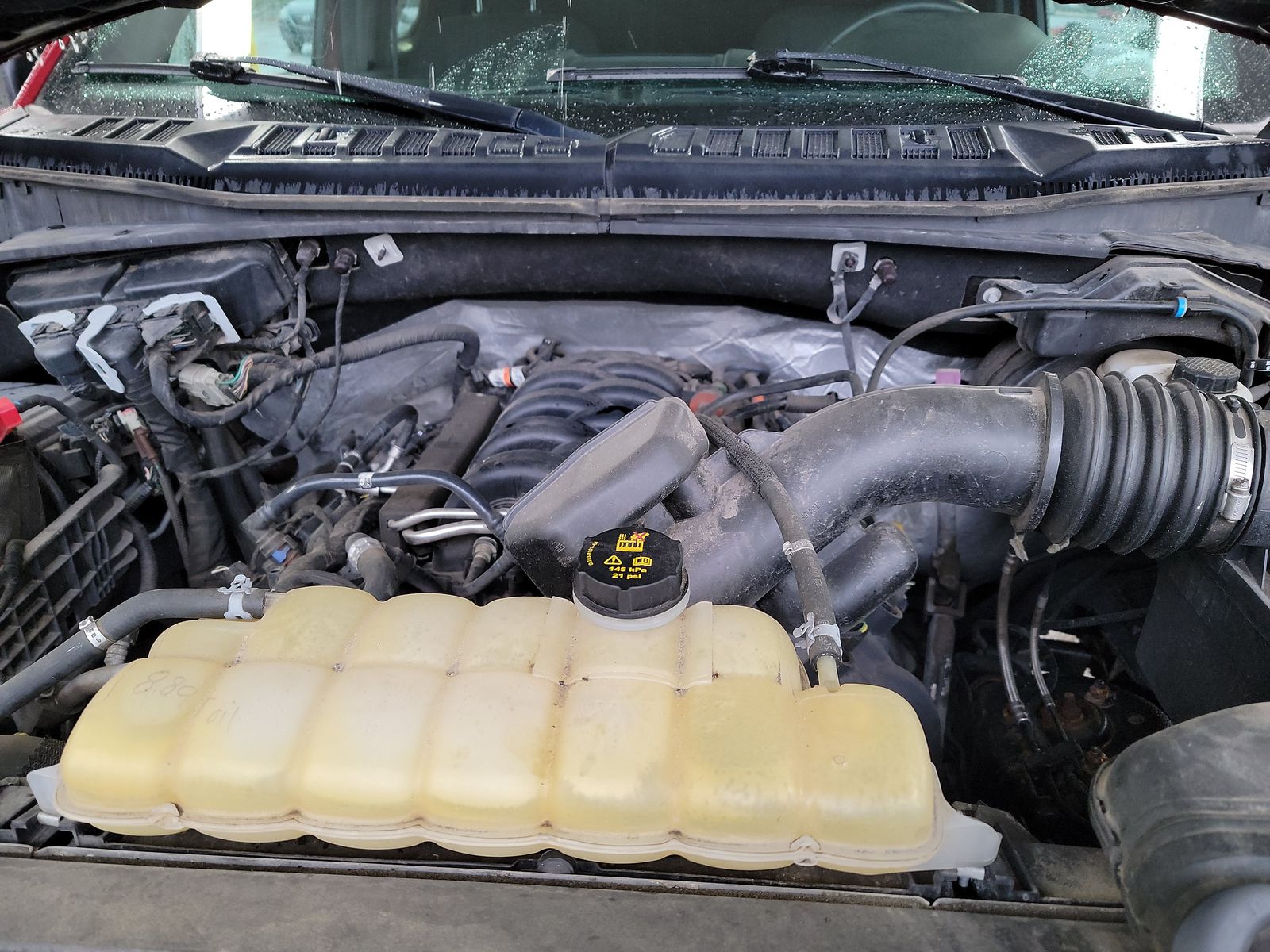 2019 Ford F-150 XLT AWD