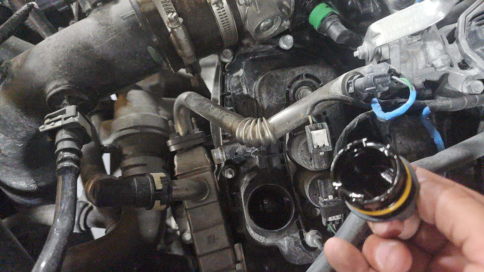 2024 Ford F-150 XLT AWD