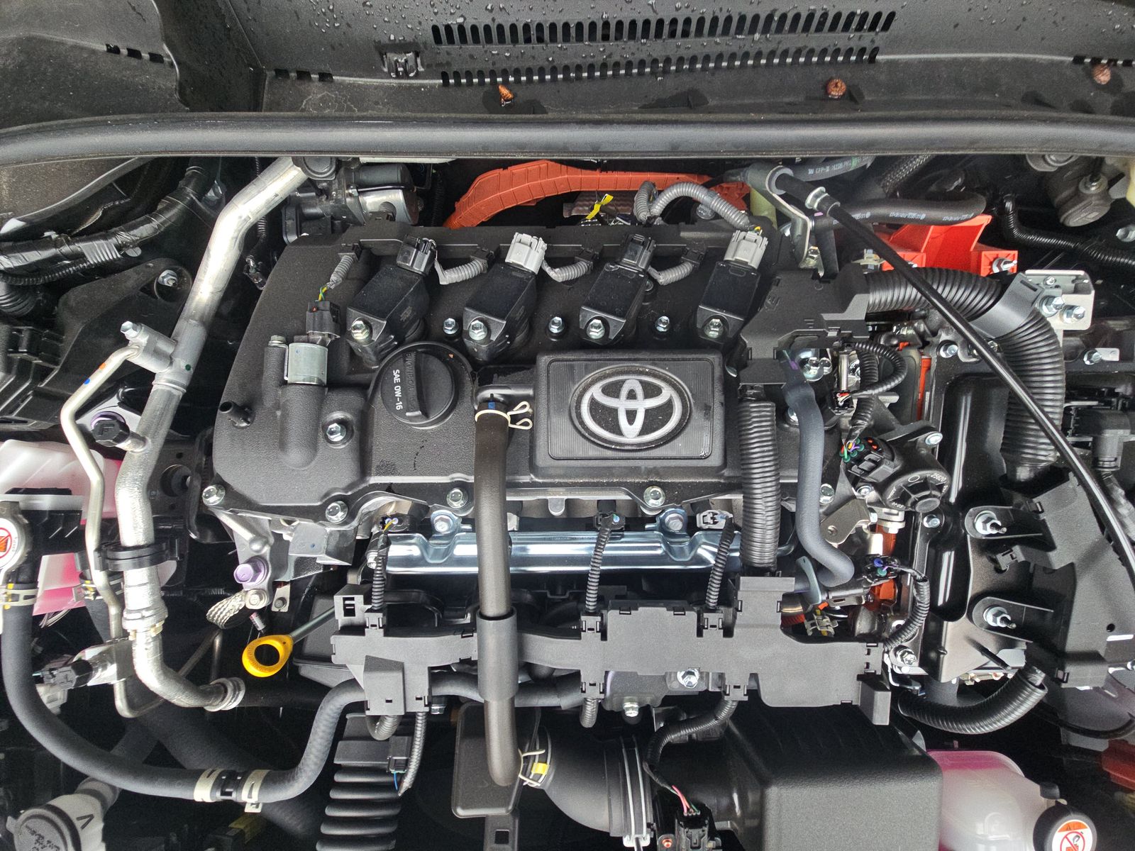 2025 Toyota Corolla Hybrid LE FWD