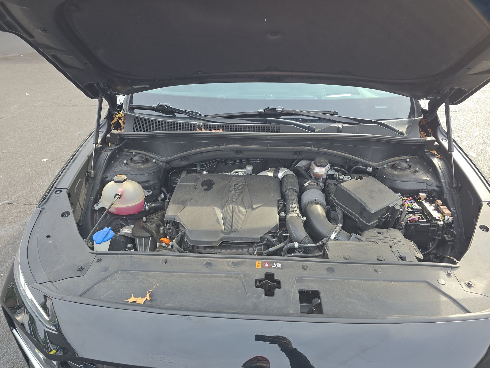 2023 Hyundai Santa Fe Calligraphy AWD