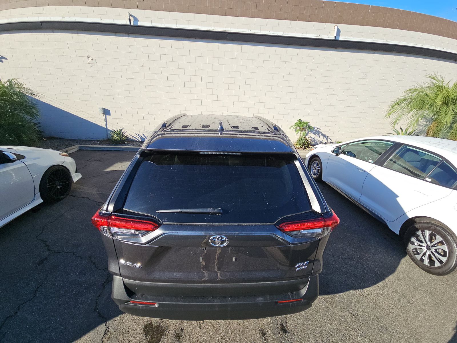 2025 Toyota RAV4 XLE AWD