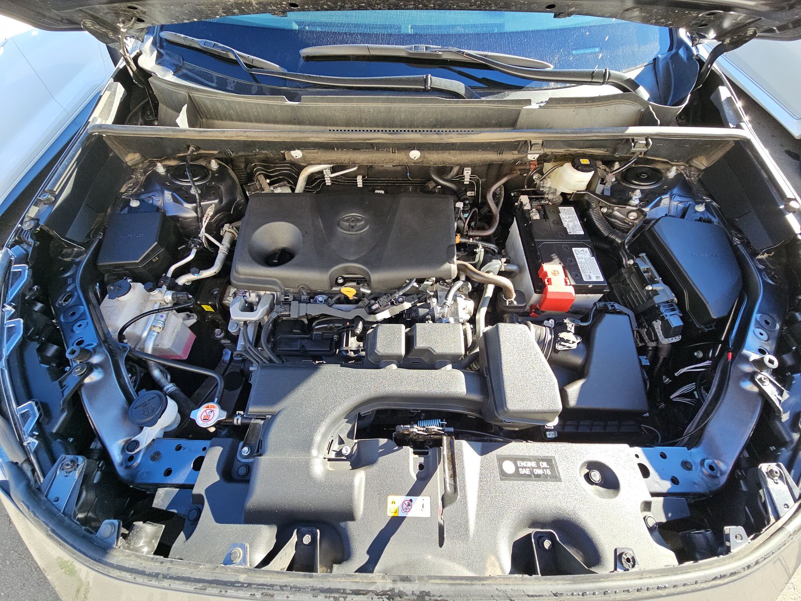 2025 Toyota RAV4 XLE AWD