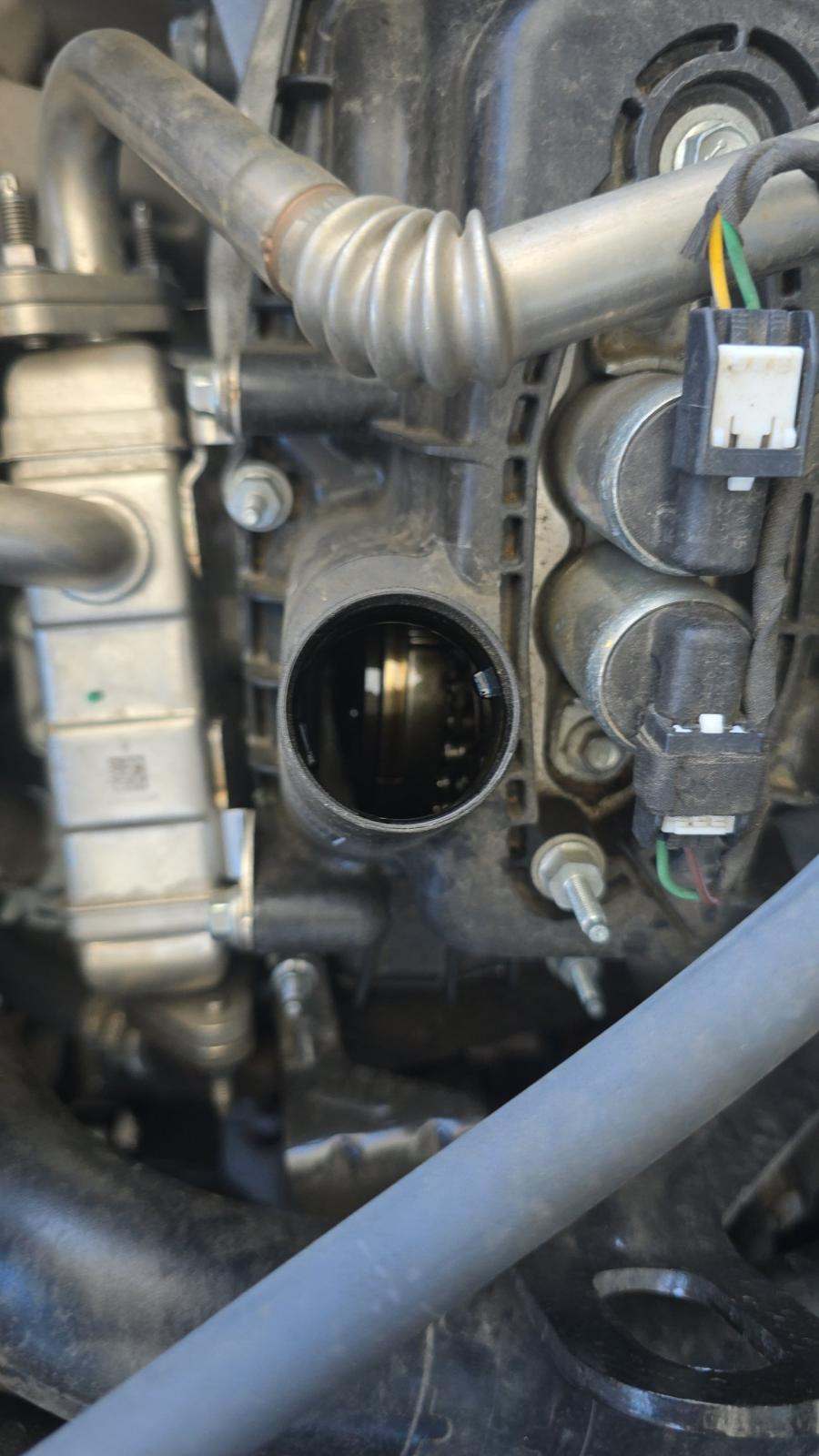 2024 Ford F-150 STX FWD