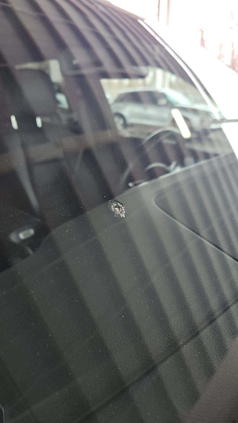 2025 Mercedes-Benz GLE GLE 350 AWD