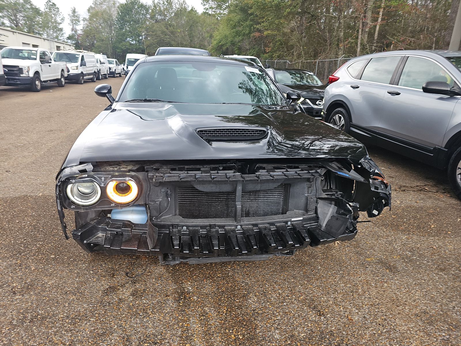 2023 Dodge Challenger R/T RWD