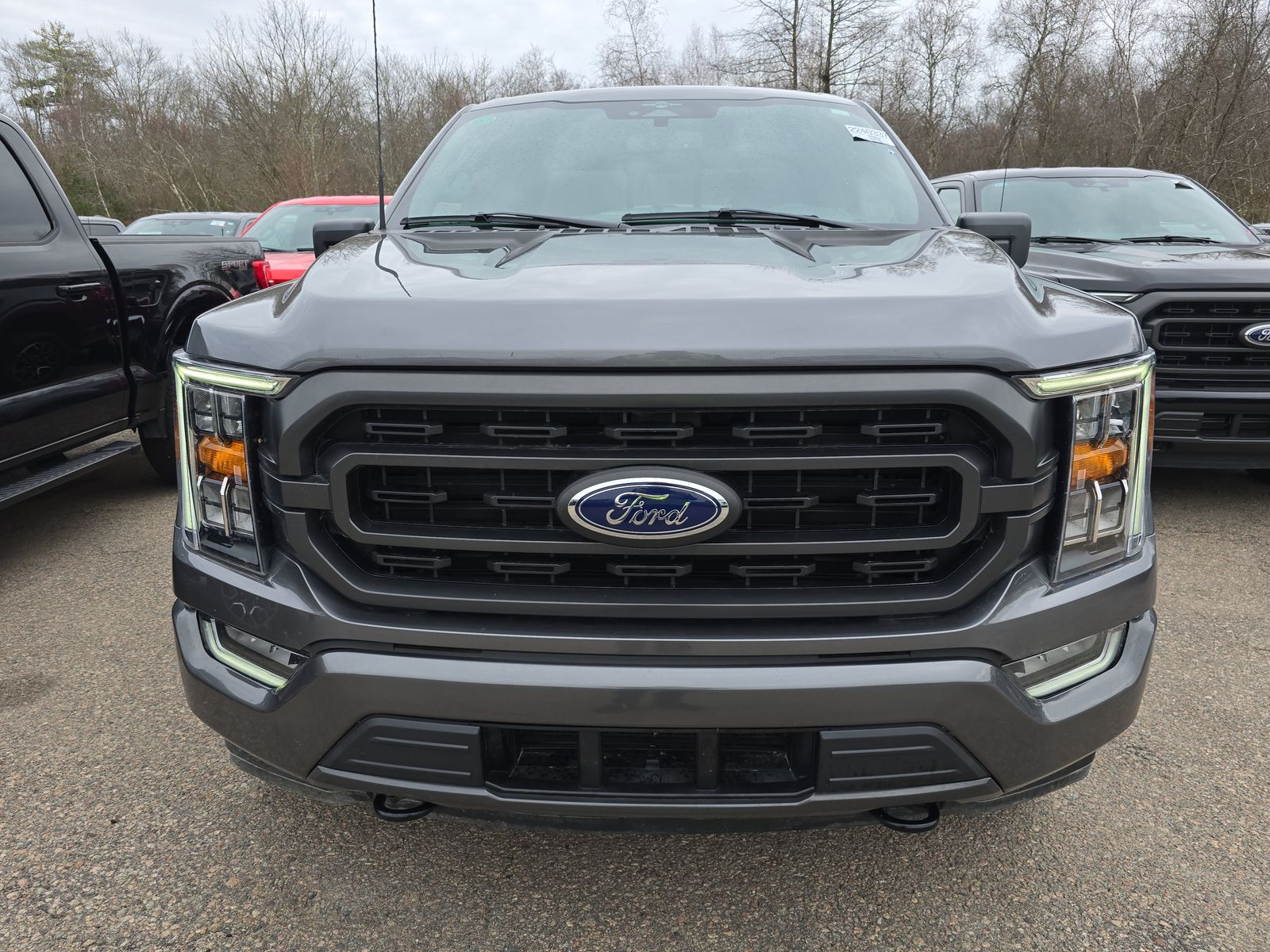2023 Ford F-150 XLT AWD