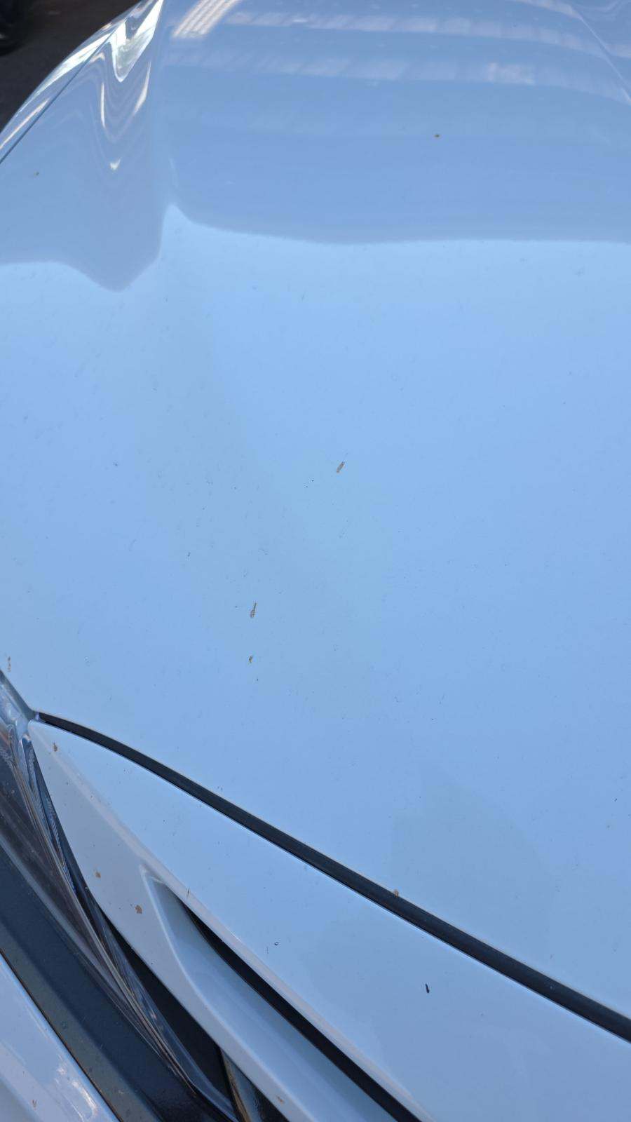 2024 Toyota Camry XSE FWD