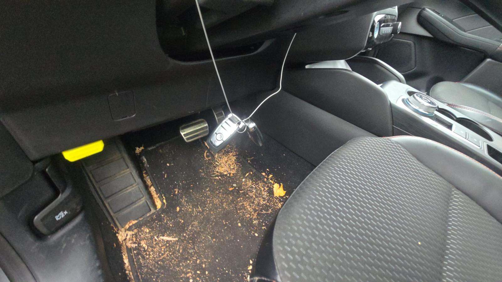 2024 Ford Escape ST-Line AWD