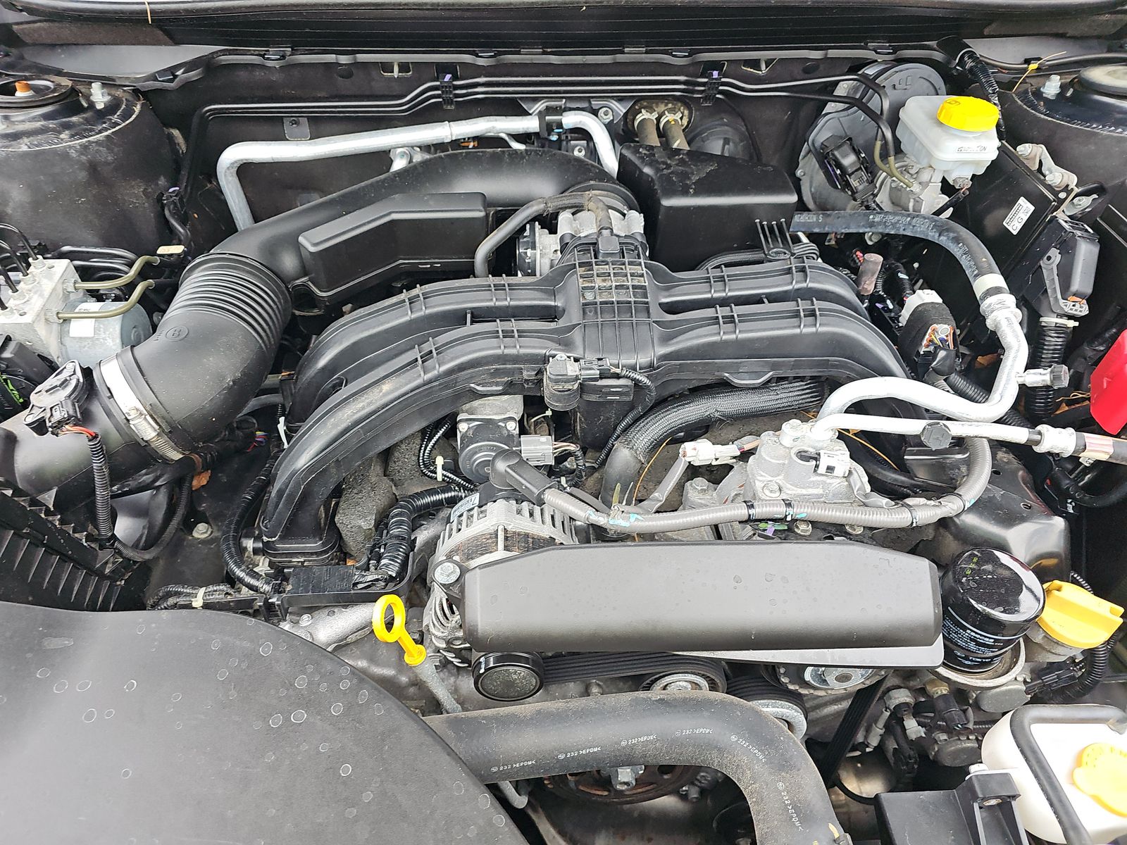 2023 Subaru Outback Premium AWD