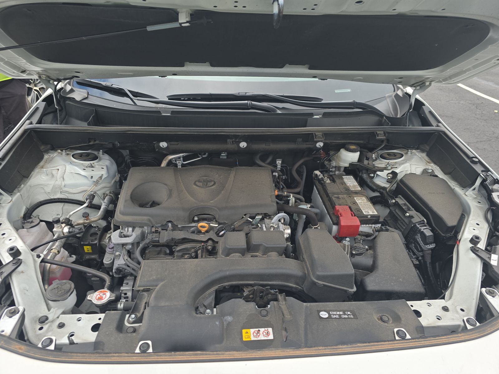 2024 Toyota RAV4 XLE FWD