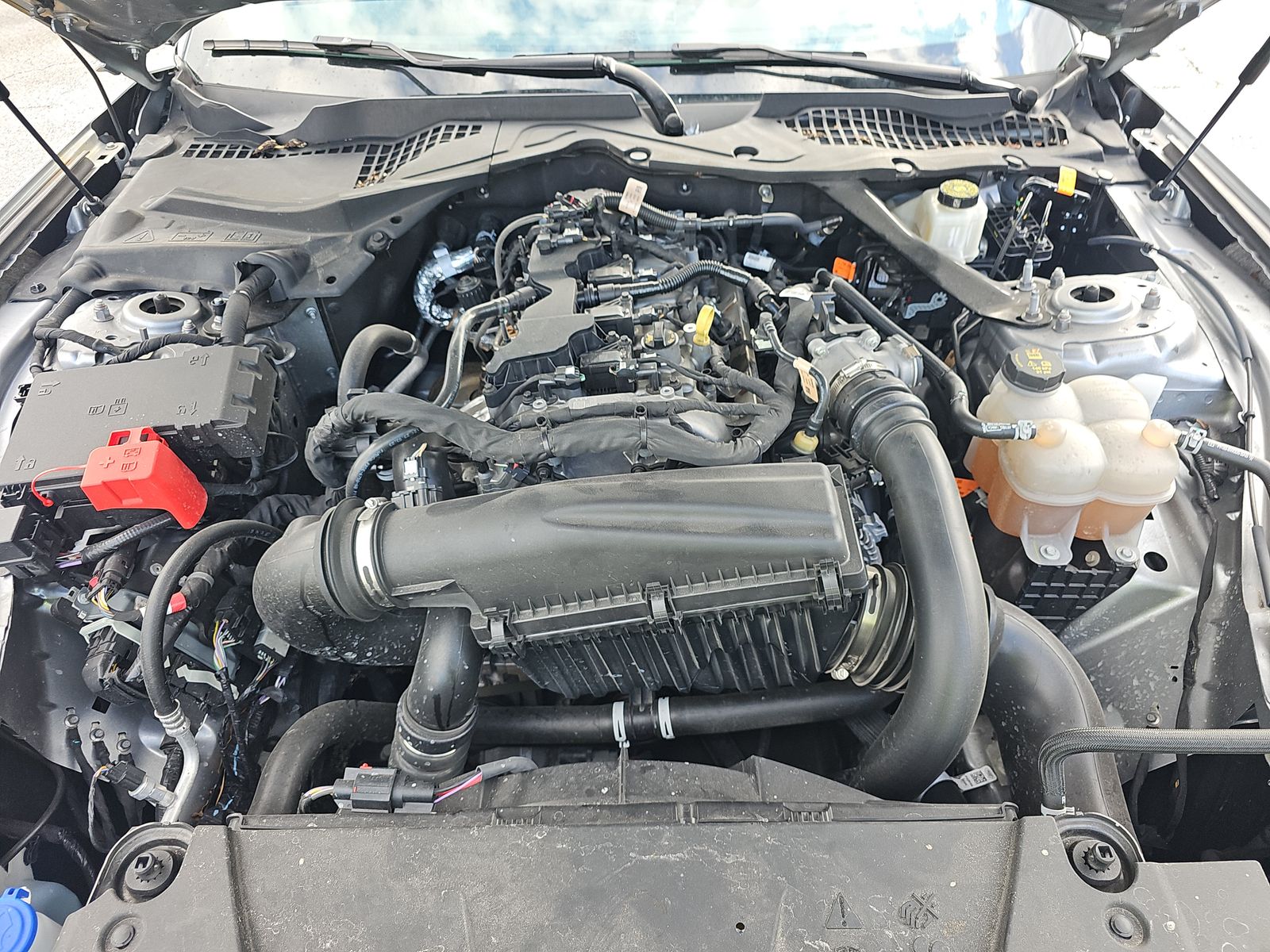 2024 Ford Mustang EcoBoost Premium RWD