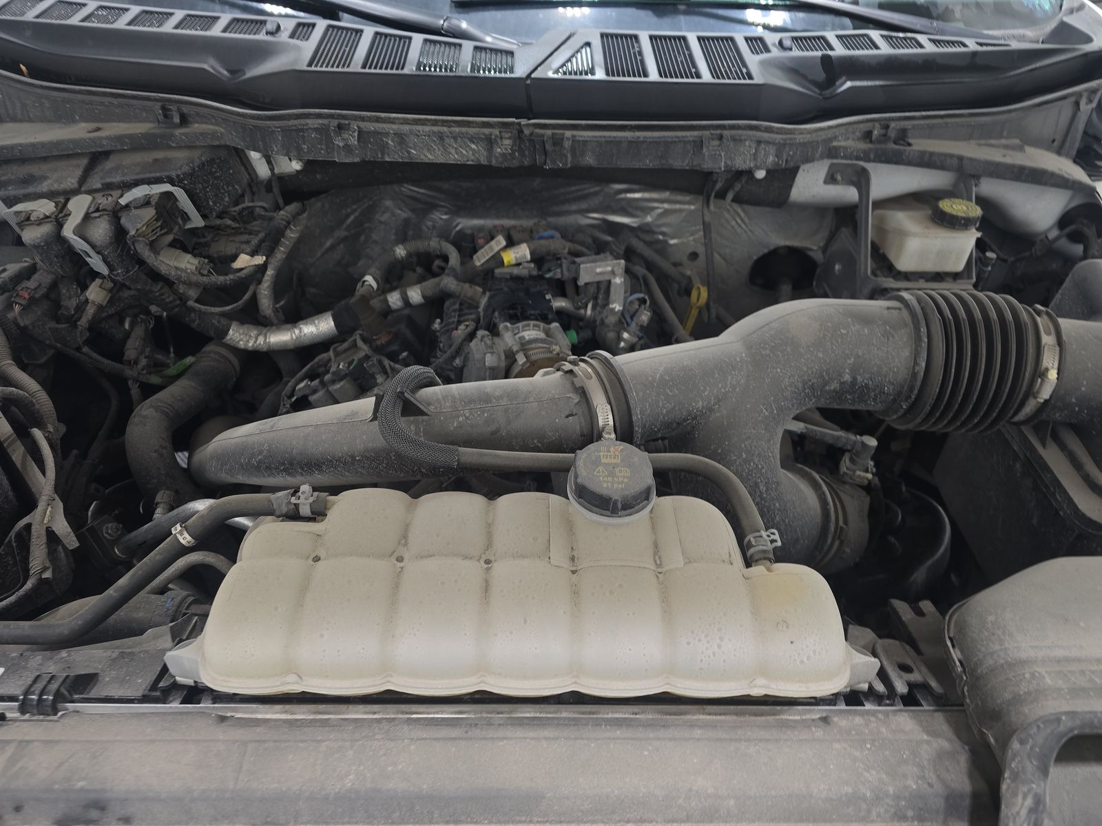 2024 Ford F-150 XLT AWD