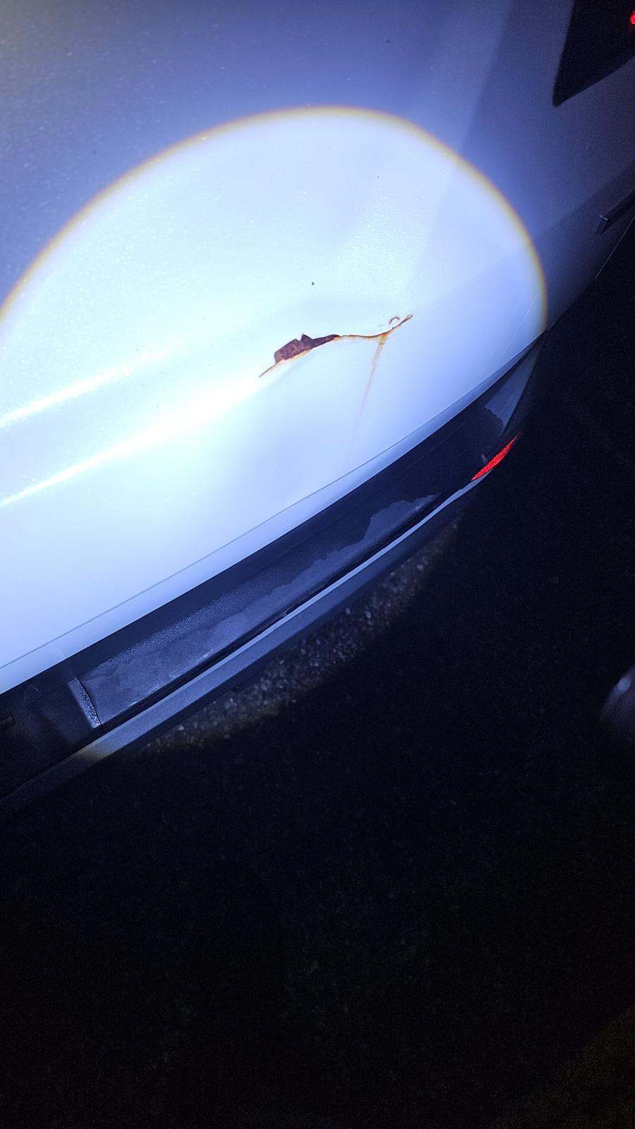 2022 Hyundai Tucson SEL AWD