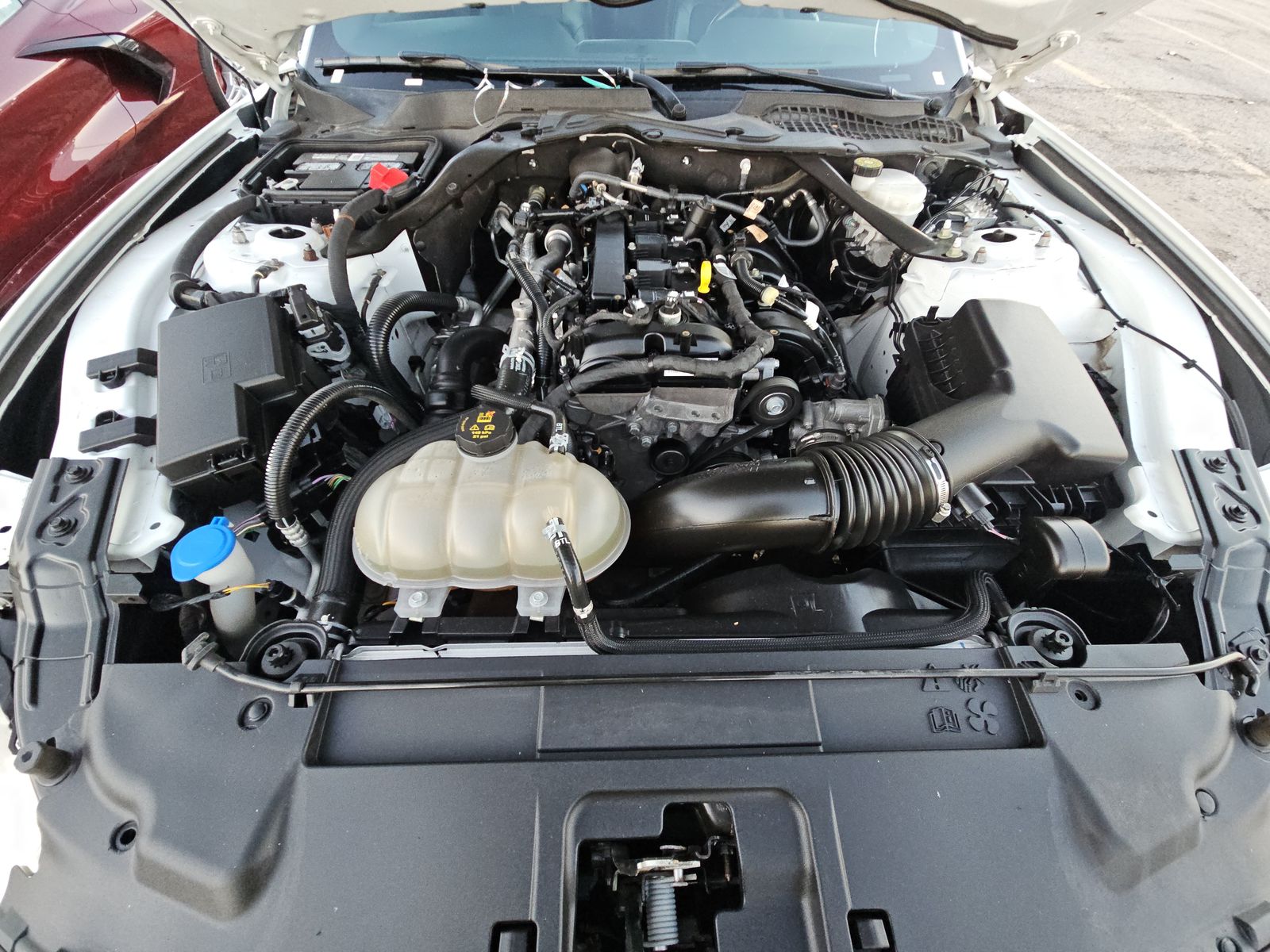 2023 Ford Mustang EcoBoost Premium RWD