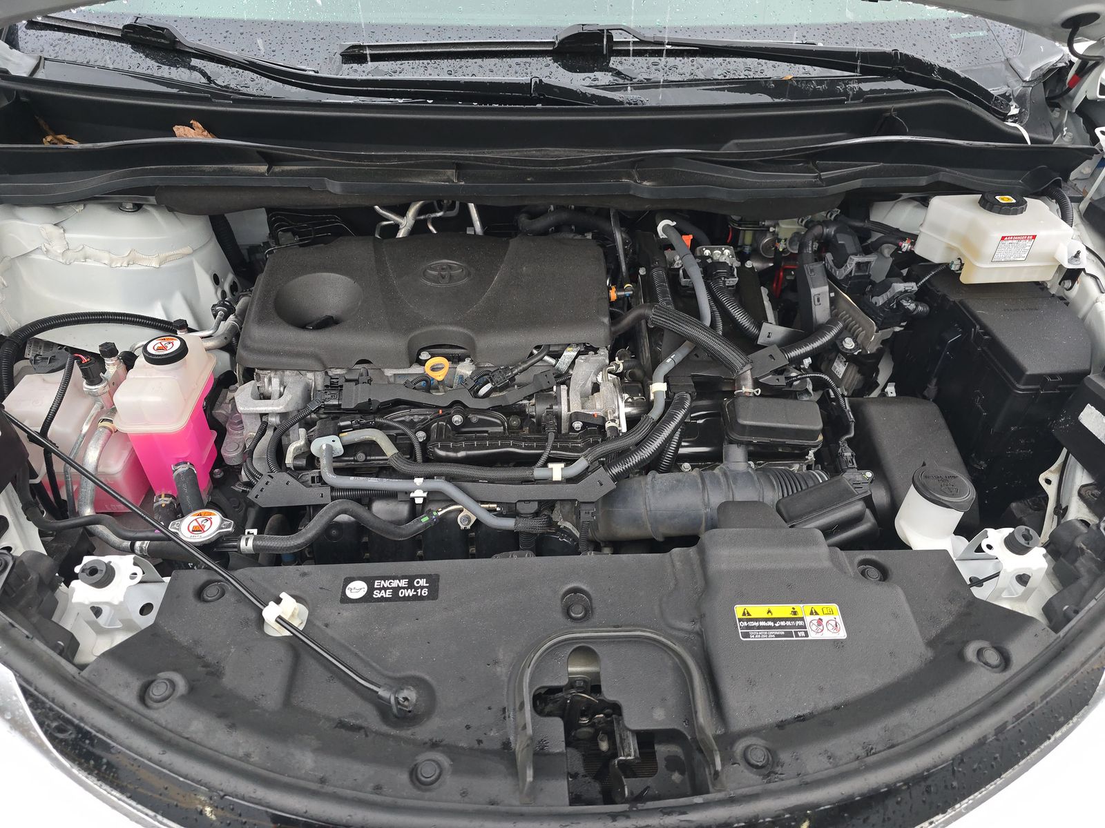 2021 Toyota Sienna Platinum FWD